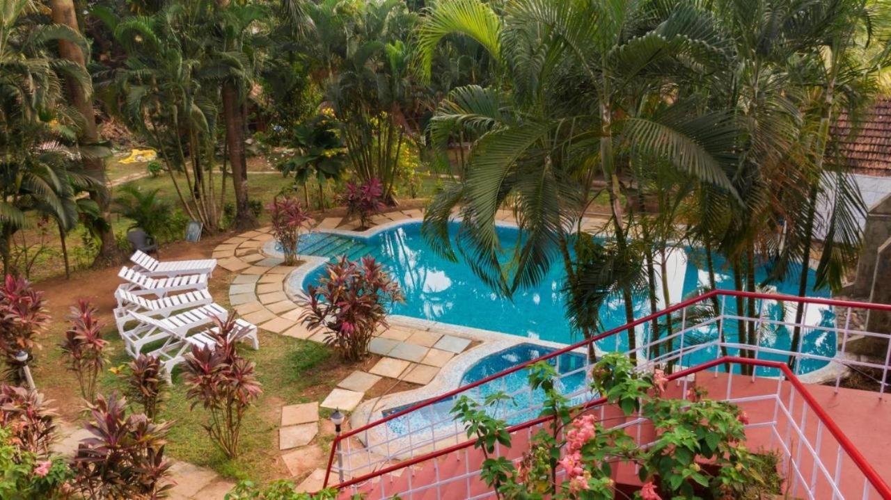 Tropical Valley Resort Morjim Ngoại thất bức ảnh